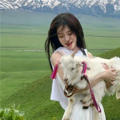 下一站彩虹国语